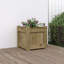 Ander Planter-1011546374-1011546377