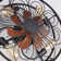 19.6'' Ceiling Fan with Light Kit and Remote Control Included