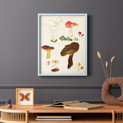 Reproduction encadrée de champignon Mushroom Species
