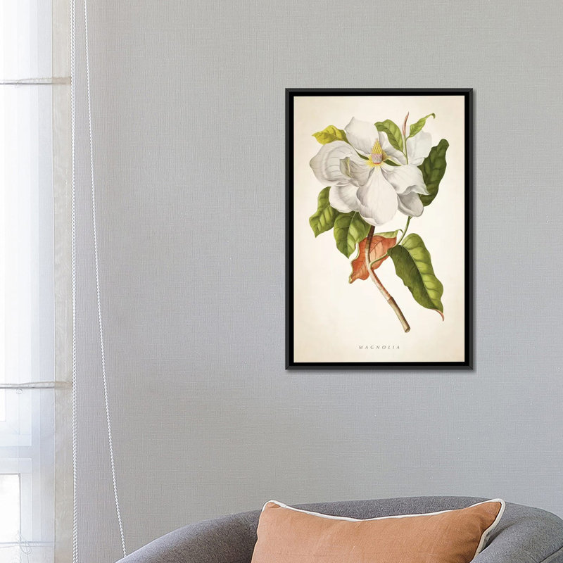 « magnolia botanique print i », impression sur toile, H 26 po x l 18 po x P 1,5 po, Toile avec cadre noir, Pas de tapis