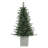 54' Lighted Christmas Tree