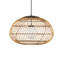 Carriage 1 - Light Pendant