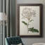 Toile encadrée de qualité supérieure Antique Botanical Collection-1151429479