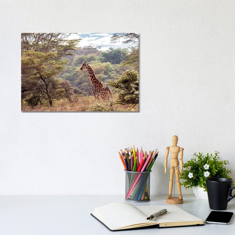 Rothschild Giraffe In Lake Nakuru Kenya by Susan Schmitz - Wrapped Canvas Gallery-Wrapped Canvas Giclée