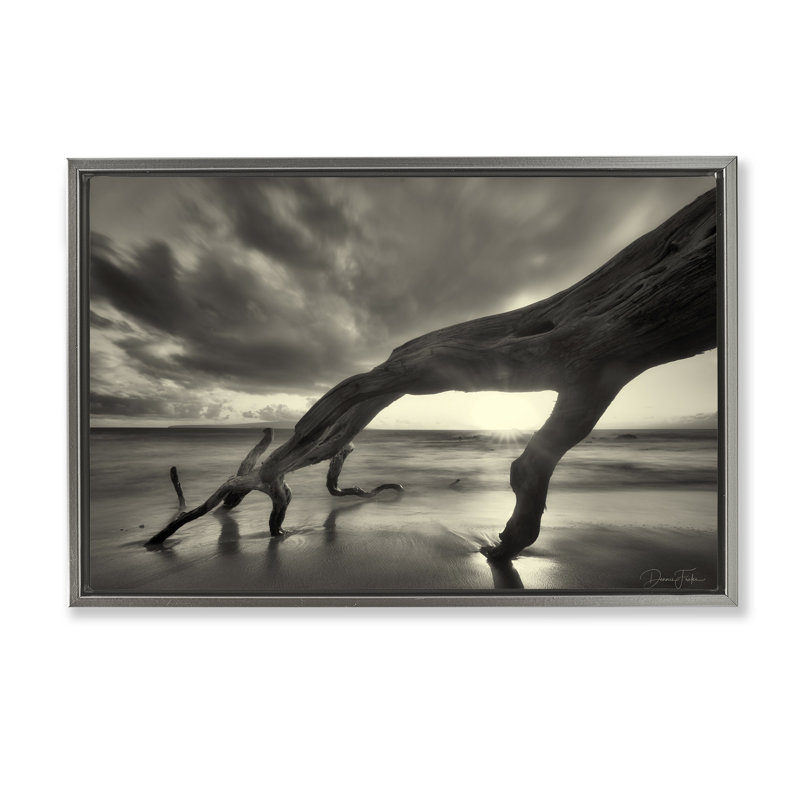 Toile flottante encadrée «Tree Trunk on Shore» par Dennis Frates, Cadre flottant gris lustré, H 21 po x l 31 po