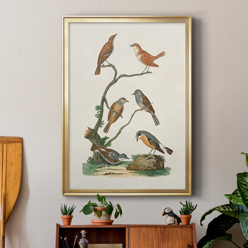 «Antique Birds In Nature IV», reproduction encadrée de qualité supérieure - prête à être accrochée, Or