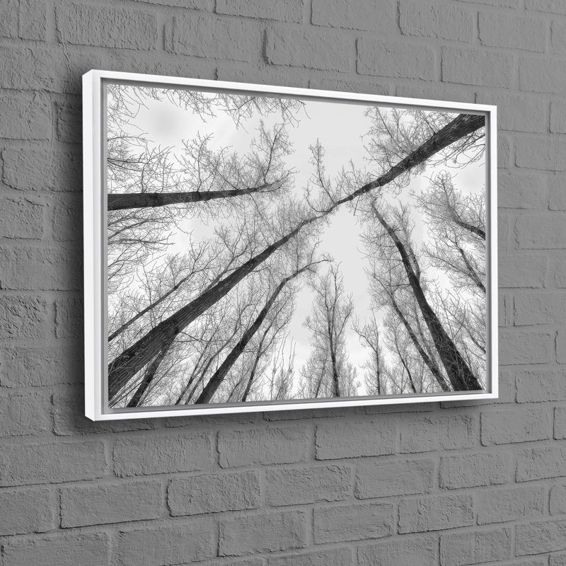 Print on Canvas, 70 cm H x 100 cm W, White Floater Framed