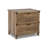 Nguyen 2 Piece Executive Desk Office Set