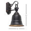 Luminaire d'extérieur 1 lumière en bronze huilé Chayan