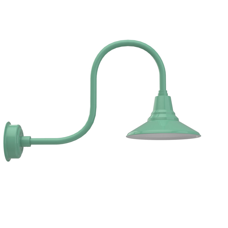 Luminaire de grange d’extérieur à del Albali, H 9 po x l 12 po x P 17 po, Jade
