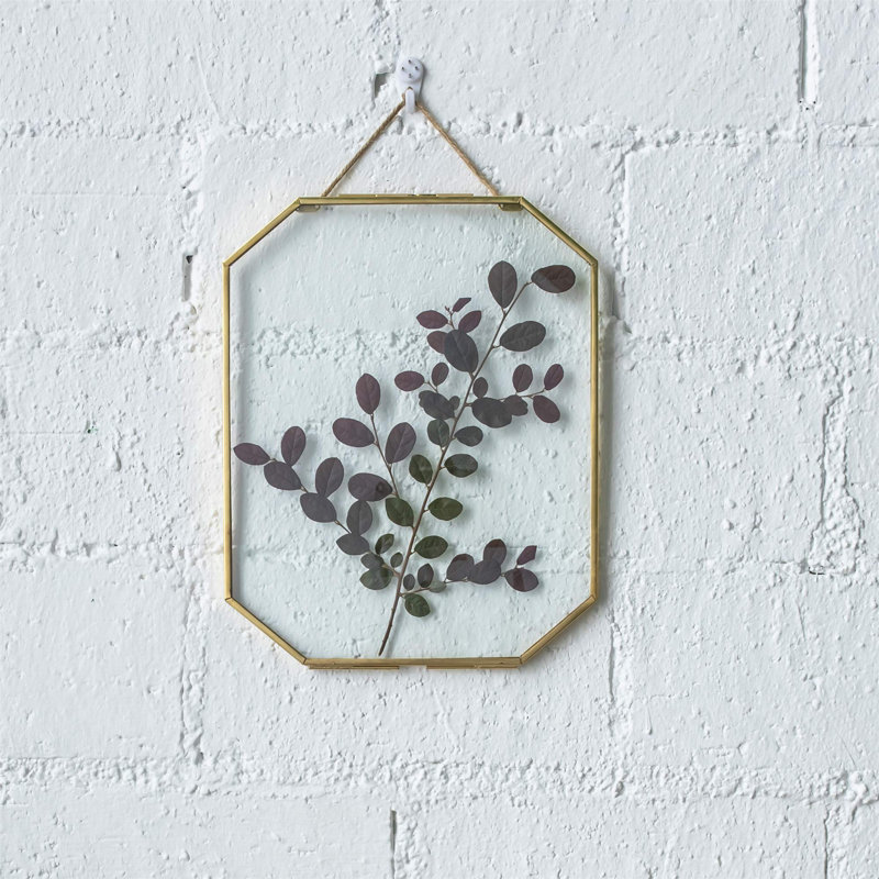 Double cadre flottant en verre pour fleurs séchées pressées, plante, photo, affiche, décoration murale 8 x 10 pouces, octogone, or, cadre en verre seulement
