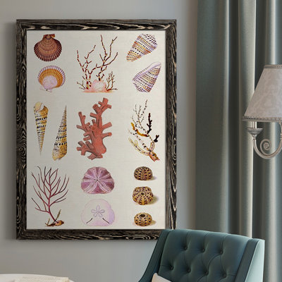 Wolfdale Coral & Shell Collage II, reproduction d'art sur toile