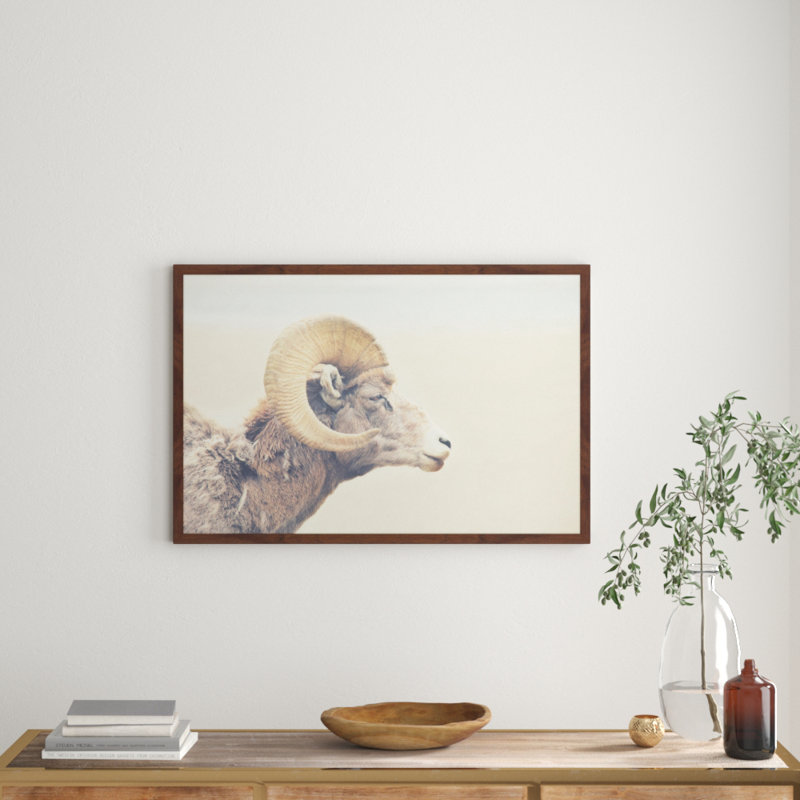 Parvez Taj - Single Picture Frame Print, 61cm H x 91cm W x 3.81cm D