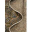 Tapis traditionnel en laine 8 x 11