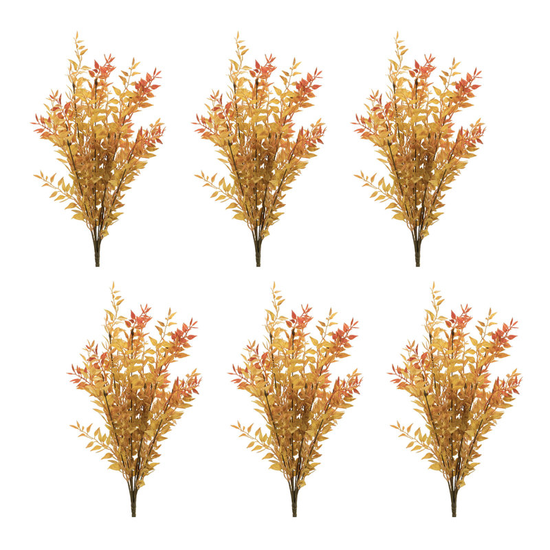 Fall Foliage Bush