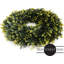 Couronne de verdure de porte d'entrée-63658158-128837937-136073440
