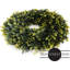 Couronne de verdure de porte d'entrée-63658159-128837938