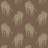 Prowling Cheetah - Wallpaper