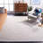 Abstract Hand Tufted Performance Abstract Rug-772527745
