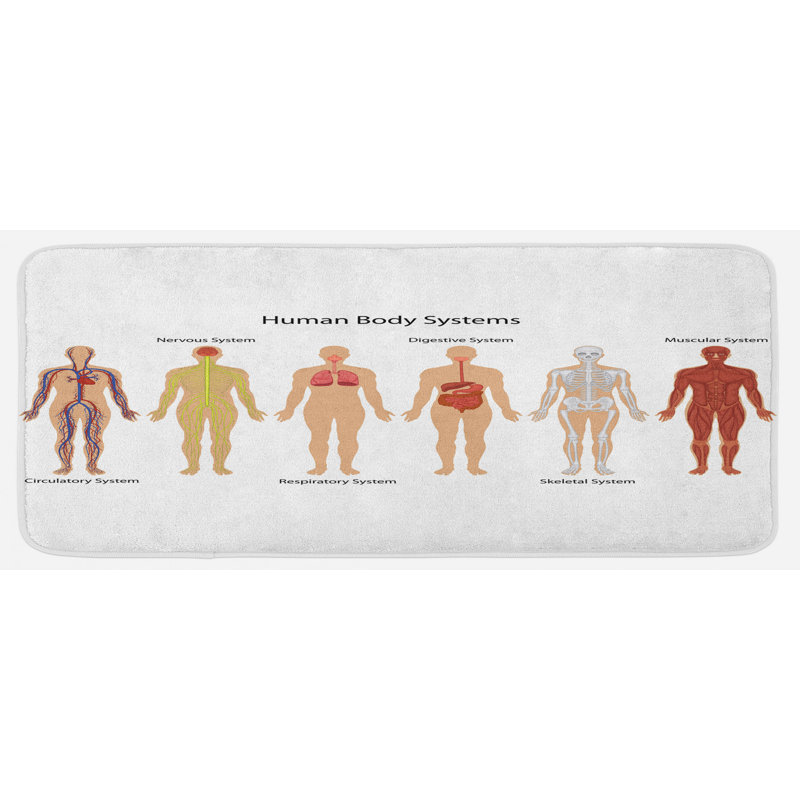 Tapis de cuisine à anatomie humaine