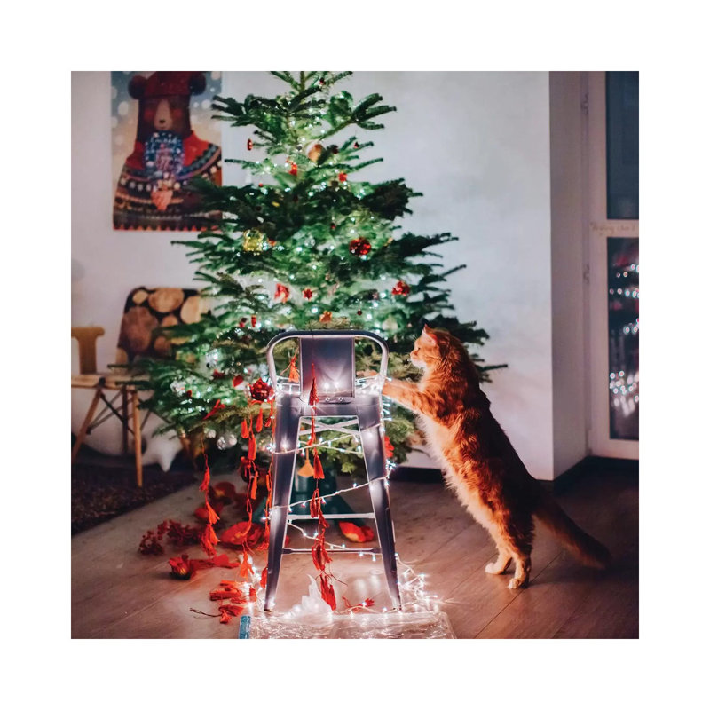 Impression « My Magic Helper II » par Hobopeeba, Pas de tapis, H 12 po x l 12 po x P 0,75 po, Toile tendue