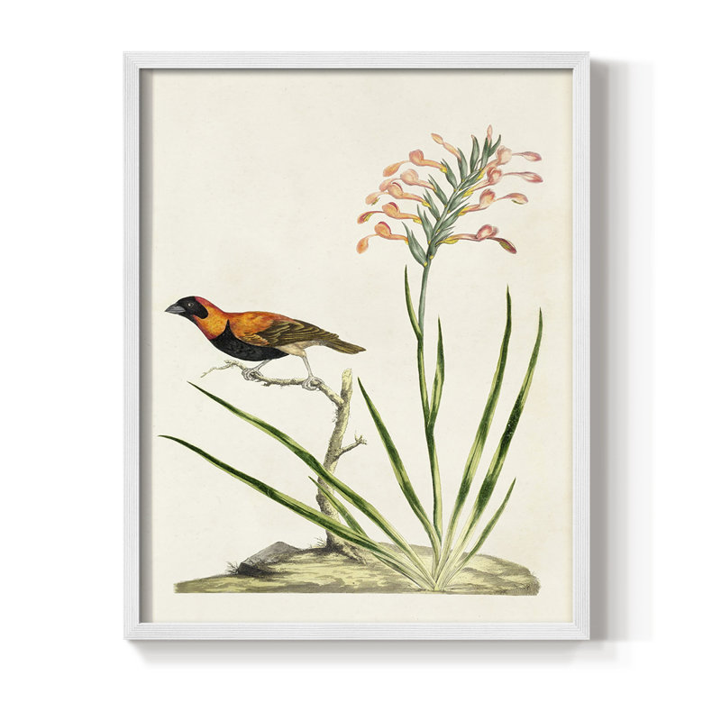 Bird in Habitat III, reproduction encadrée - bois massif, Blanc, H 10 po x l 8 po