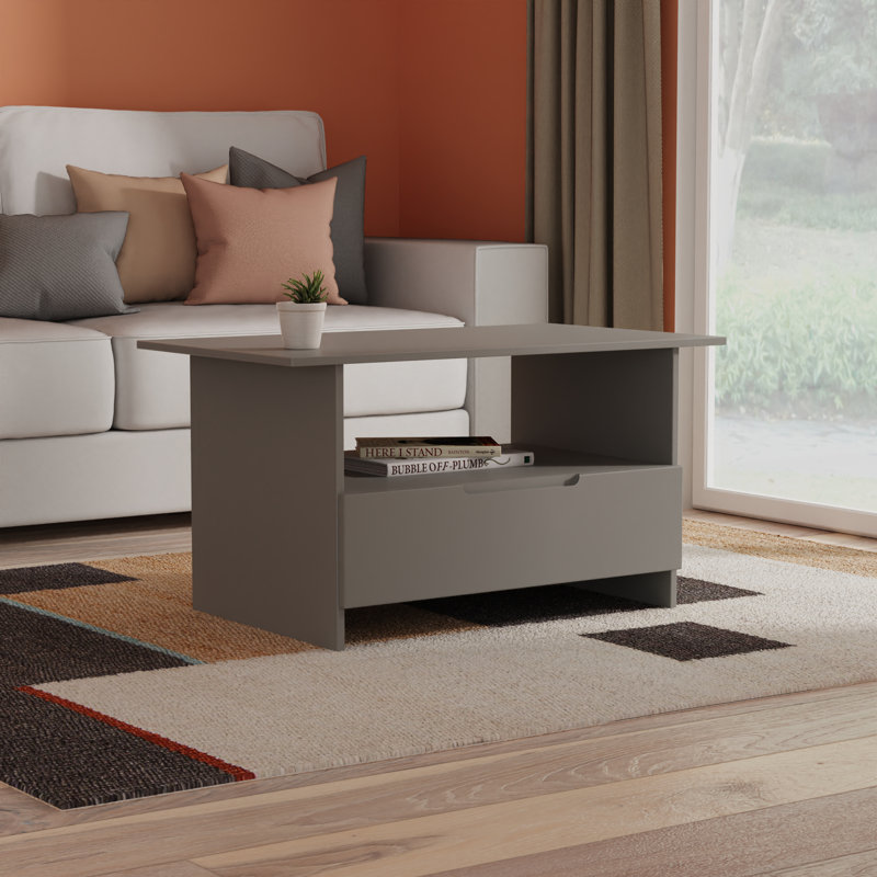 Bisma Coffee Table with Storage, Grey