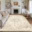 Oriental Area Rug-1582840073-1360597525