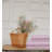 Sheet Set-275257619-275307977