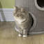 70cm H Cat Tree