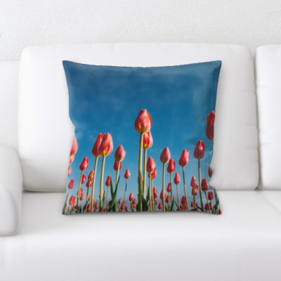 Coussin décoratif