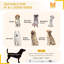 Cage pour chien en acier avec roulettes Tucker Murphy ™-833145561-876841284