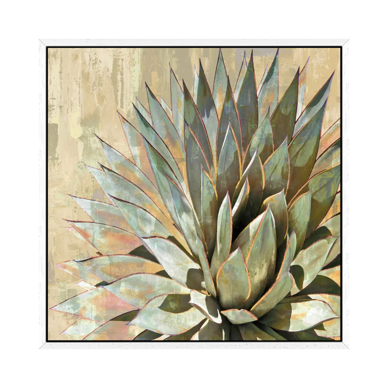 Succulent I by Lindsay Benson - Painting on Canvas, White Framed Canvas, 93.98 cm H x 93.98 cm W