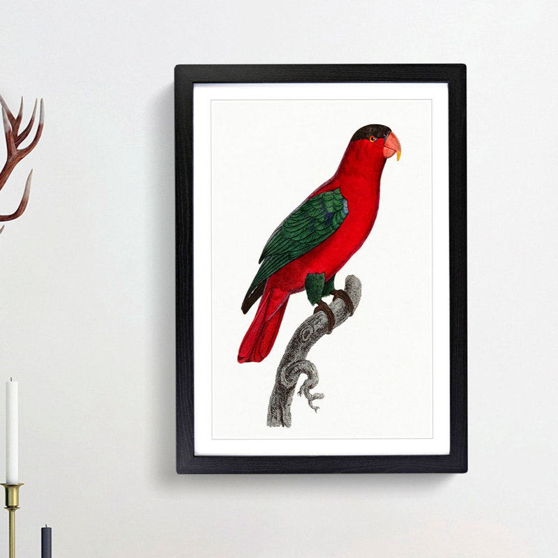Naped Lory by F. Levaillant - Picture Frame Painting Print, 65cm H x 48cm W x 2cm D, Black Framed