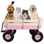 Chariot de jardin tout-terrain avec pneus-123018687