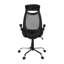 Chaise de bureau ergonomique à haut dossier avec hauteur réglable et accoudoirs, filet noir