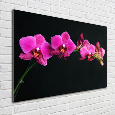 Pink Orchids Curve - Wrapped Canvas Print