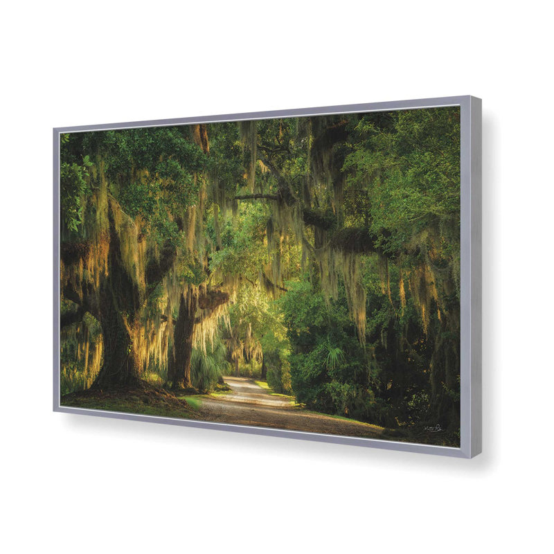 «Moss Draped Path» par Martin Podt, reproduction d'art, 12 W x 8 H, Silver, Framed Print