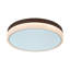 Deissy LED Flush Mount