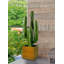 Cactus artificiel 26 "en pot