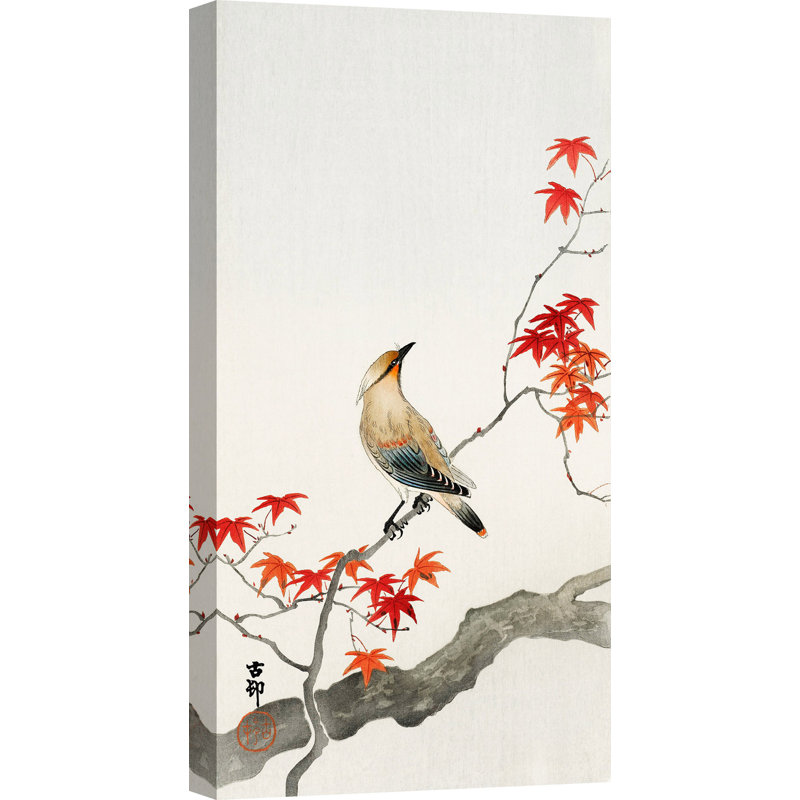 Japanese Jay On Maple by Ohara Koson - Wrapped Canvas Print, 70cm H x 35cm W x 4cm D