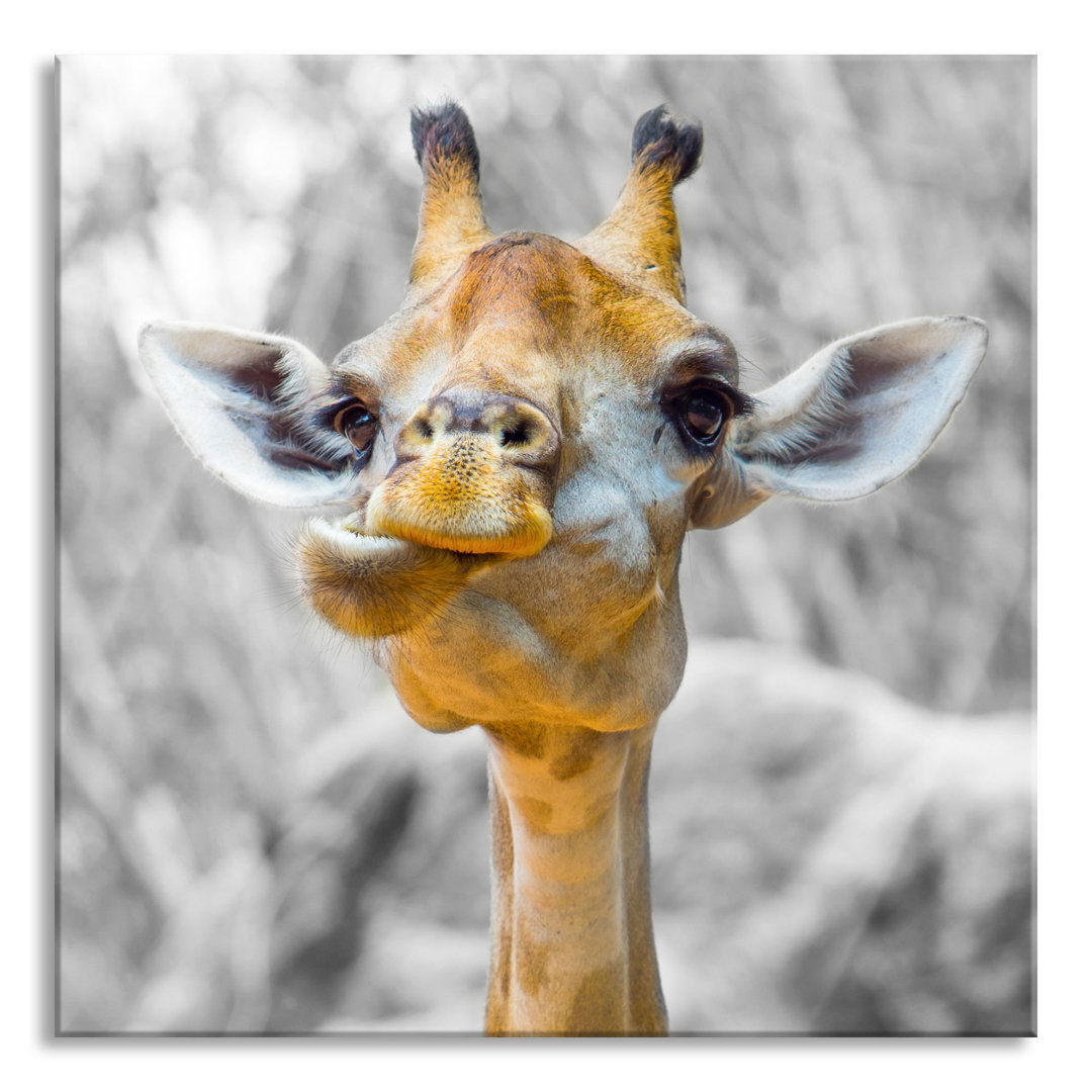 Glasbild Giraffe in der Natur