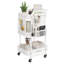 Saroj Metal Kitchen Cart