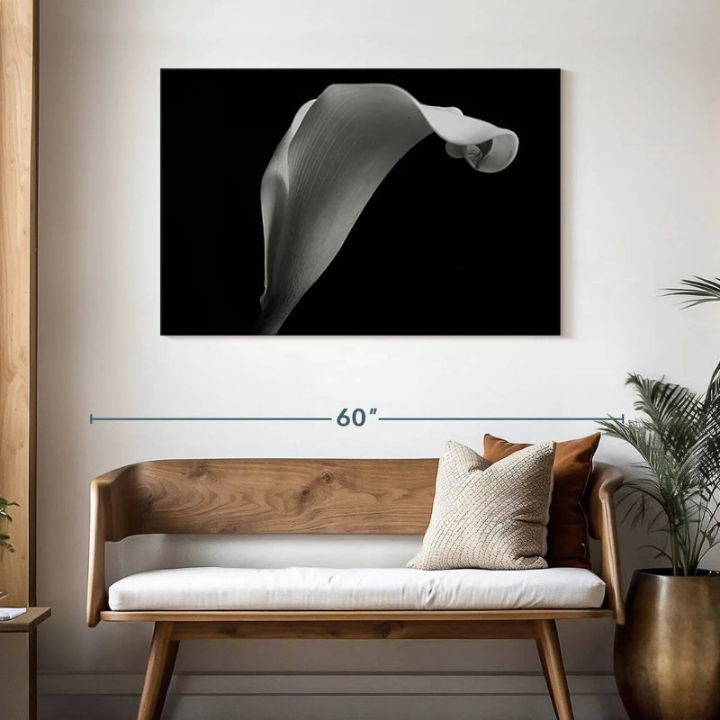 Lys Calla monochrome, H 30 po x l 45 po