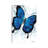 Beach Butterfly by Ashvin Harrison - Print on Canvas-57291241-57291242
