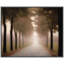 Dappled Drive 1 Framed Print Canvas-883245209