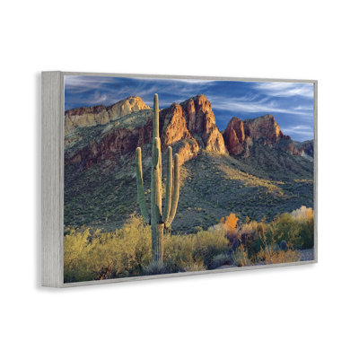 «Found You Cactus in Canyon», estampe numérique, design par Mike Jones