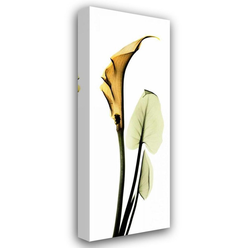 «Red Barrel Studio® Koetsier, Albert», art sur toile tendue sous le titre «Calla Lily» en or, H 48 po x l 19 po