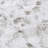 Tommy Bahama Printed Percale Cotton Sheet Set-1255661650-1248636046