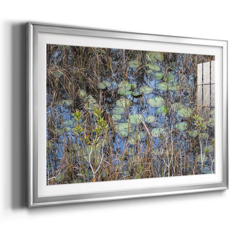 The Marsh, reproduction d'art encadrée, Argent, H 30 po x l 44 po x P 1,5 po